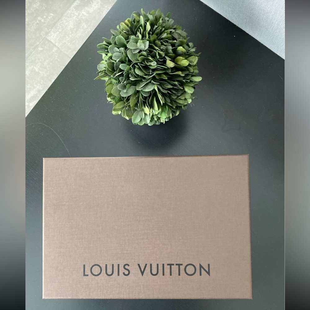 Louis Vuitton Box empty